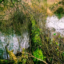 20180122-CopyrightHansFaasse-39.jpg