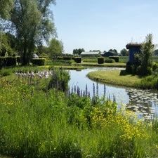 naamloos-10-van-48-standard-sgteh1.jpg