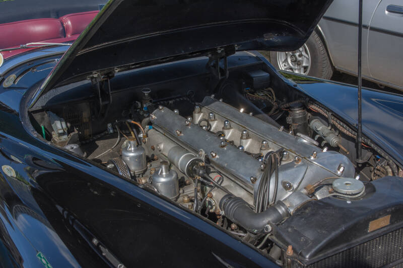 naamloos-11-van-65-standard.jpg