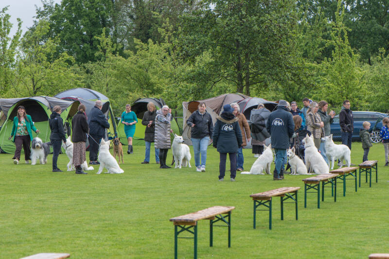 naamloos-5-van-15-standard-oeigcs.jpg