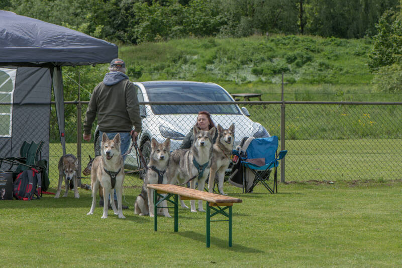 naamloos-7-van-15-standard-e6sjku.jpg