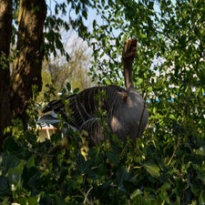 20180420-CopyrightHansFaasse-20.jpg