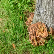 20221007-dsc_9200.jpg
