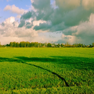 CopyrightHansFaasse-25-1.jpg