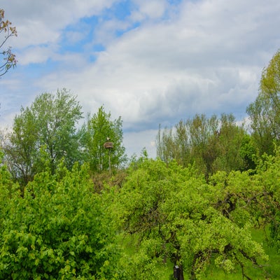 DSC_0902-1.jpg