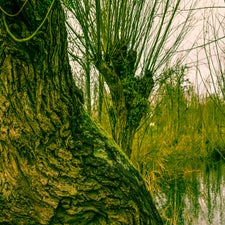 20180122-CopyrightHansFaasse-26.jpg