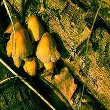 20180130-CopyrightHansFaasse-18.jpg