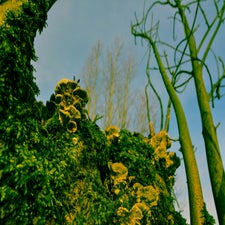20180130-CopyrightHansFaasse-6.jpg