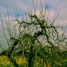 20180122-CopyrightHansFaasse-13.jpg