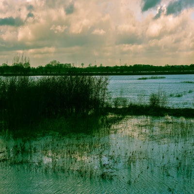 CopyrightHansFaasse-15-1.jpg