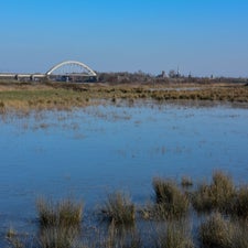 20180207-CopyrightHansFaasse-11.jpg