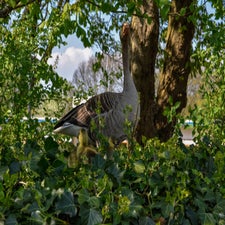 20180420-CopyrightHansFaasse-18.jpg