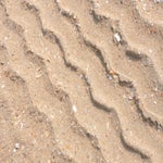 copyrighthansfaasse-4jpg.jpg