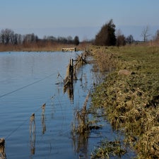 20180207-CopyrightHansFaasse-21.jpg