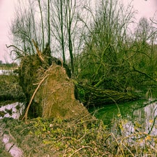 20180122-CopyrightHansFaasse-42.jpg