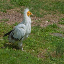 20220829-dsc_8158.jpg