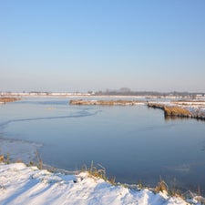 DSC_0283.jpg