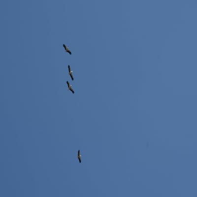 20190330-CopyrightHansFaasse-110.jpg