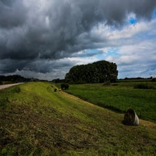 Copyright www.jfpictures.nl32.jpg