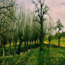 20180122-CopyrightHansFaasse-8.jpg