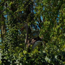 20180420-CopyrightHansFaasse-12.jpg