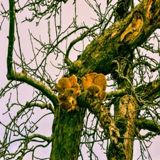 20180122-CopyrightHansFaasse-33.jpg