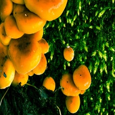 20180130-CopyrightHansFaasse-7.jpg