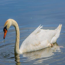 20220522-copyrighthansfaasse-31-2.jpg