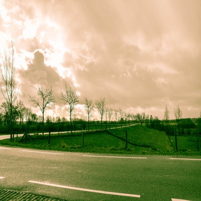 CopyrightHansFaasse-2-1.jpg