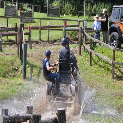 dsc_0012jpg.jpg