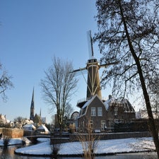 DSC_0297-1.jpg