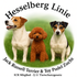 Jack Russell Terrier Familien Zucht