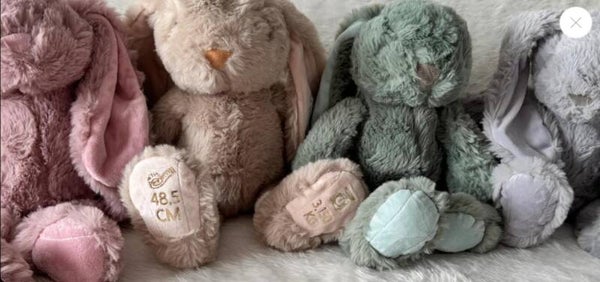 Lapin