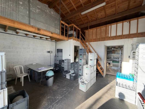 DEPOT 40 M2 - LEOGNAN 33850 - REFLP414