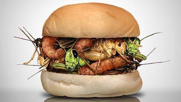 0% Human Insects burger
