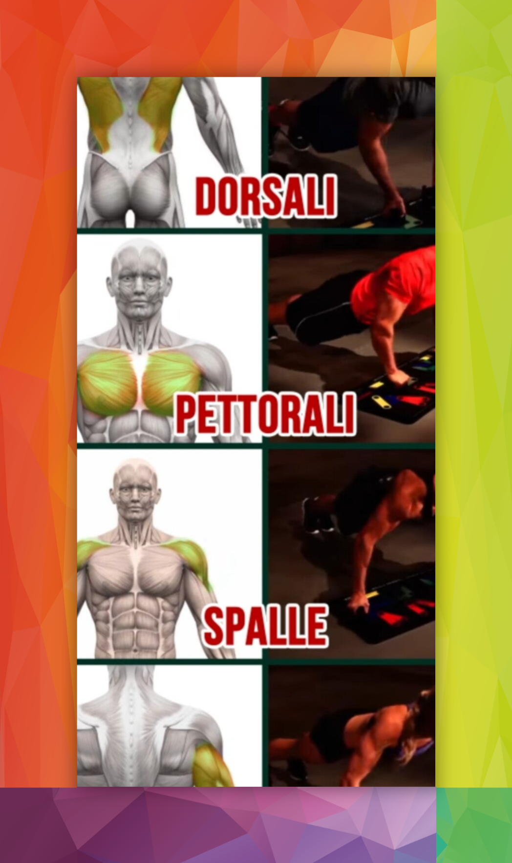 Massaggio sportivo pre gara