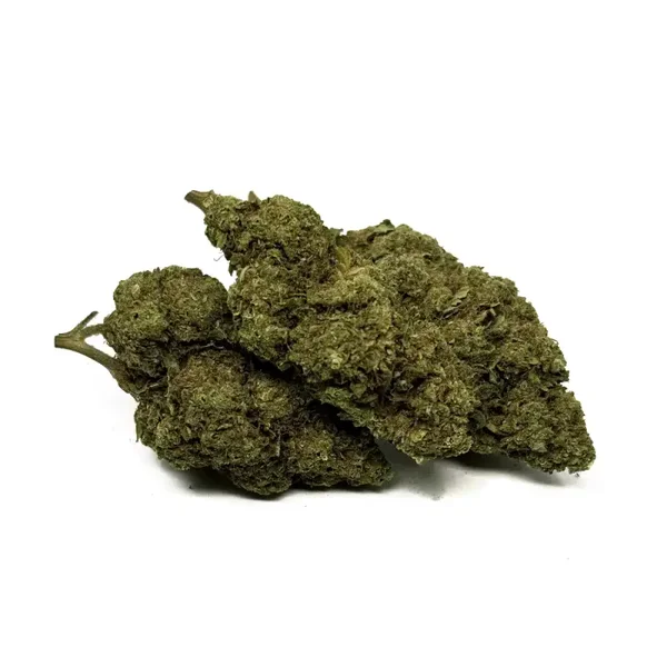 FLEUR HPC INDOOR 40% BLUEDREAM
