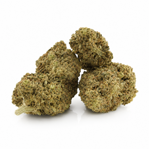 FLEUR HPC INDOOR 40% GARY PAYTON