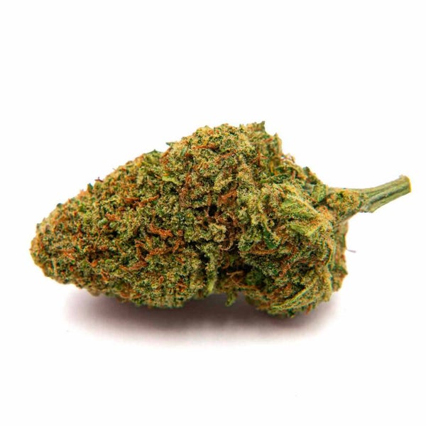 FLEUR HPC INDOOR 40% AMNESIA