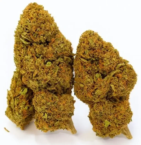 FLEUR CBD USA GRAPEFRUIT INDOOR