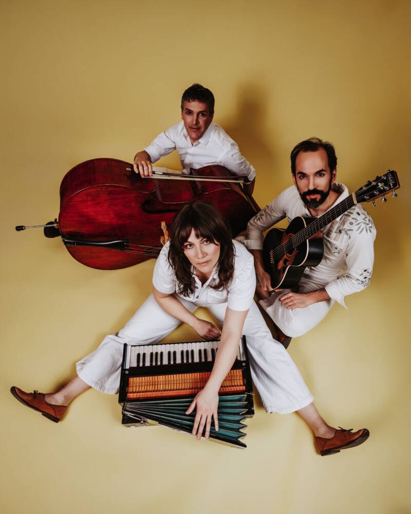 Moonfruits Folk Roots, Live Music