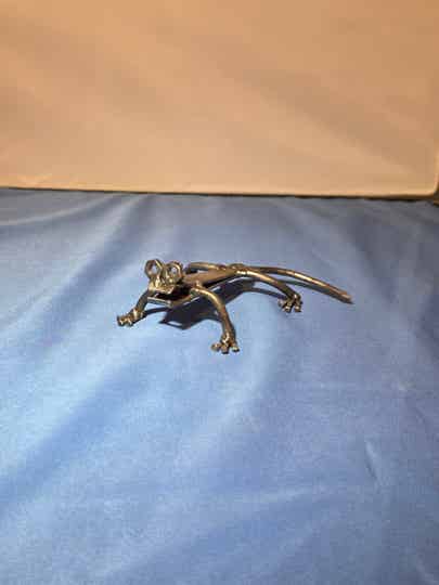 Lizards Gaze