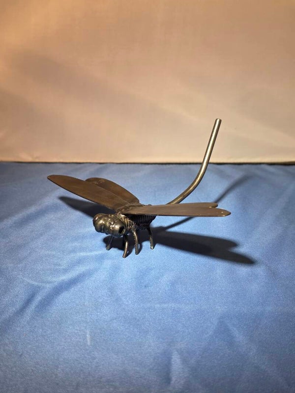 Graceful Flyer