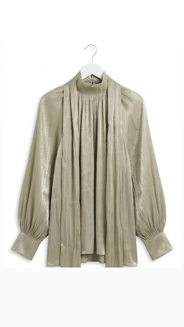 Classy Organza Pistache Blouse