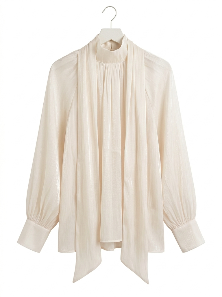 Classy Organza Creme Blouse