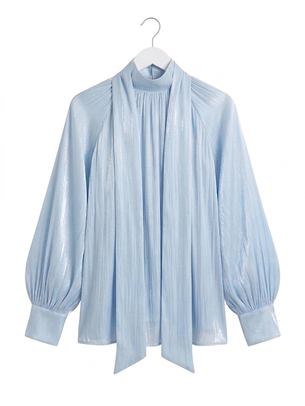 Classy Organza Blue Blouse