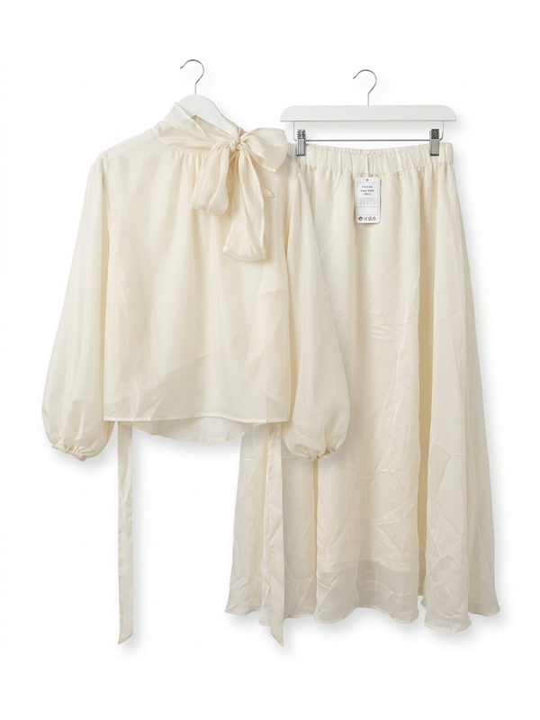 Orgenza Blouse Set