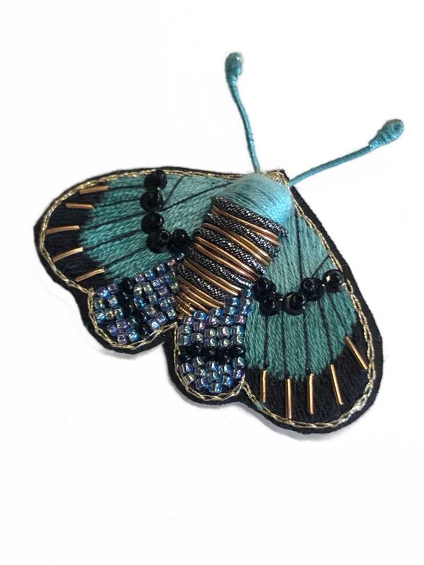 Papillon de nuit bleu