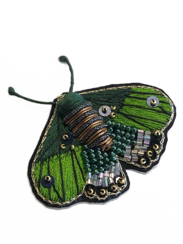 Papillon de nuit vert