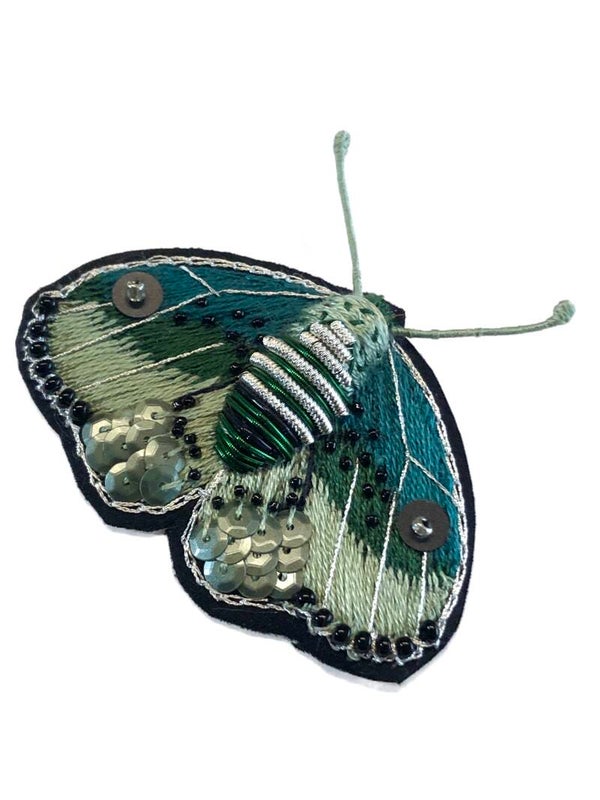 Papillon de nuit